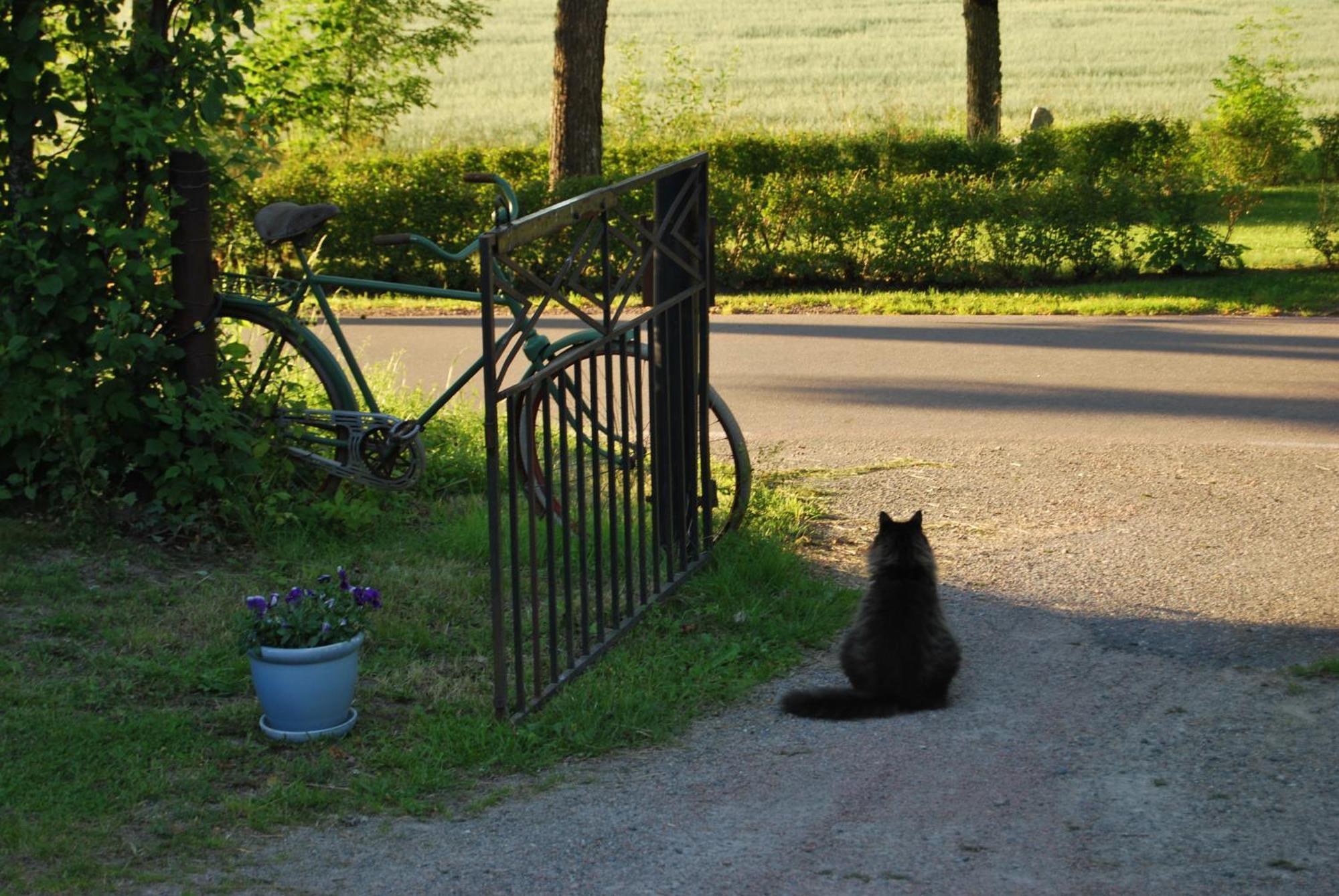 Rytterne Kyrkskola Bed & Breakfast Sorby  Luaran gambar